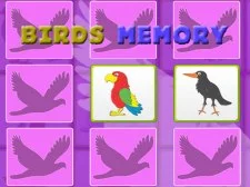 Kids Memory with Birds